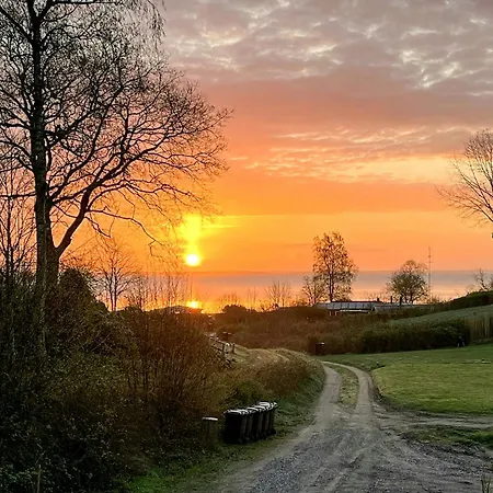 Between Forest And In Haderslev Semesterbostad *